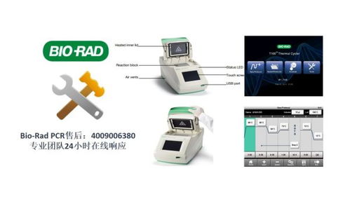 广州BIO RAD电泳仪维修电话2020年维修价格表